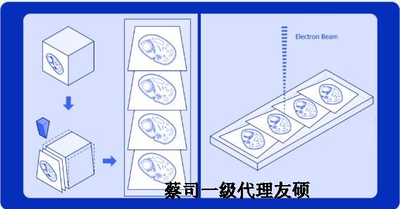 苏州蔡司苏州扫描电镜