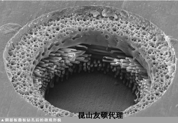 苏州蔡司苏州扫描电镜